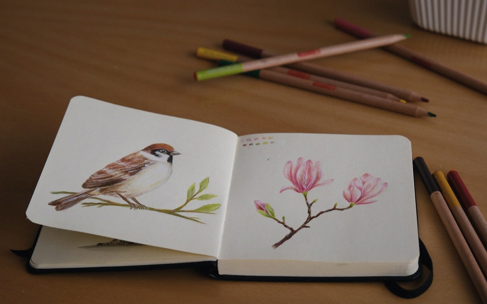 A graphite wing study on a sketchbook page, feather tracts drawn in structural order