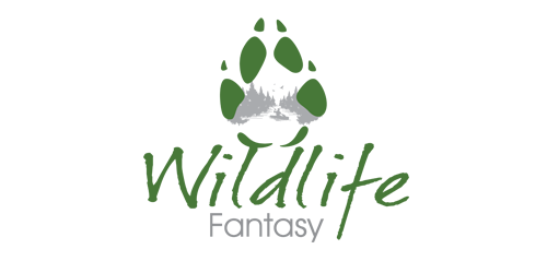 Wildlife Fantasy